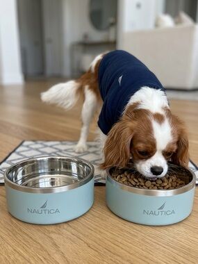 Stainless Steel Pet Bowls Nautical Non-Slip Dog Food & Water bowl Set NEW